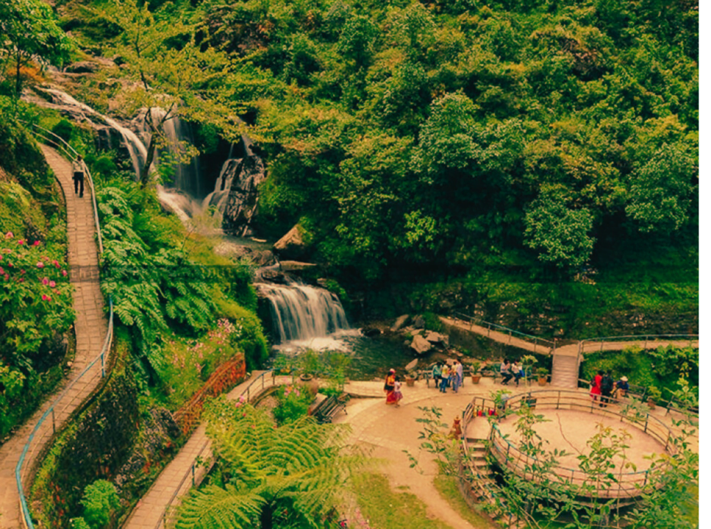 Rock garden Darjeeling